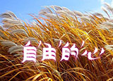 如何加快網(wǎng)站的訪問(wèn)速度？